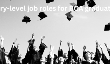 Entry-level job roles for BCA graduates